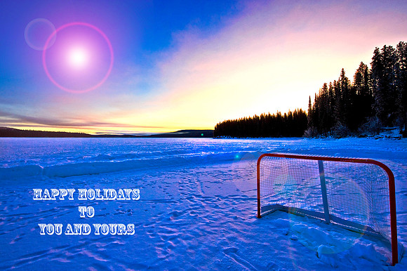 Hockey Net